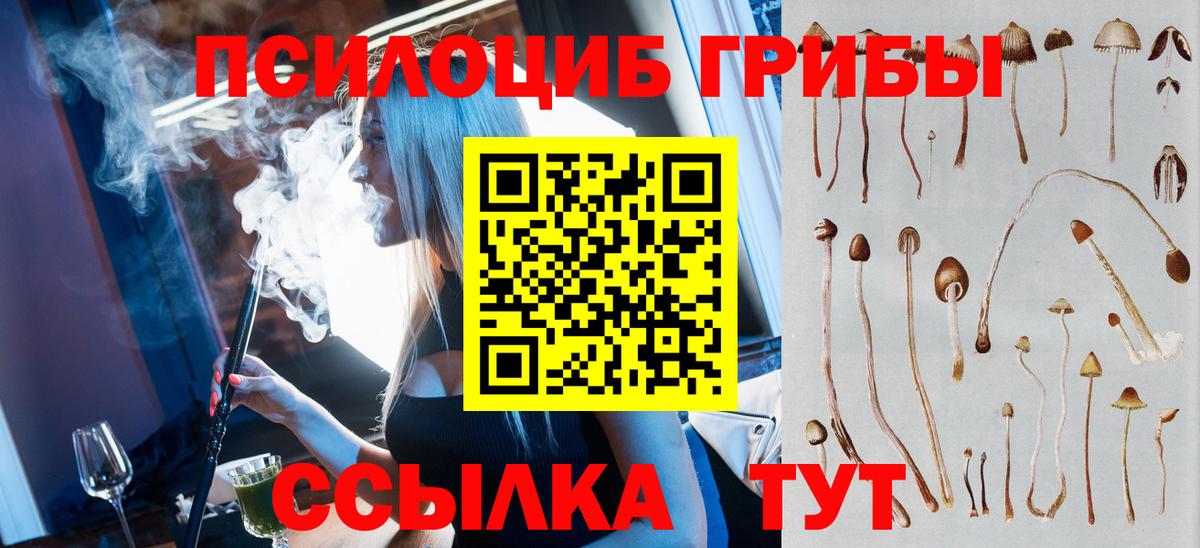 Псилоцибиновые грибы GOLDEN TEACHER Избербаш
