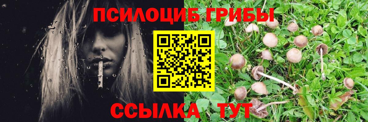 Псилоцибиновые грибы ЛСД  купить  сайты  Избербаш  Галлюциногенные грибы MAGIC MUSHROOMS  Вход с VPN 